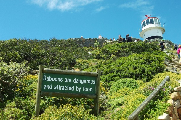 Baboon warning sign at the base of the Cape Point Lighthouse (South Africa, Nov. 2011)