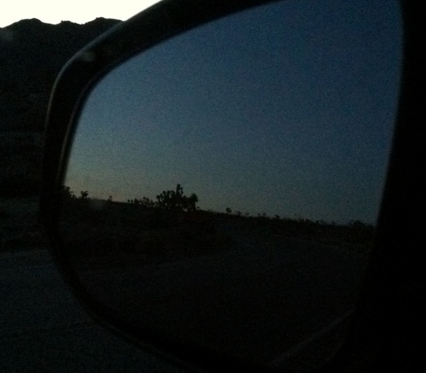Joshua tree in mirror is not closer than it appears